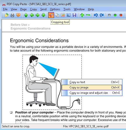 PDF Copy Paste